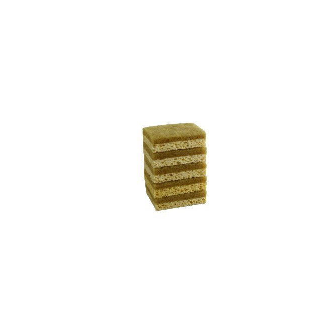 Sisal Souring Sponge xgn1734