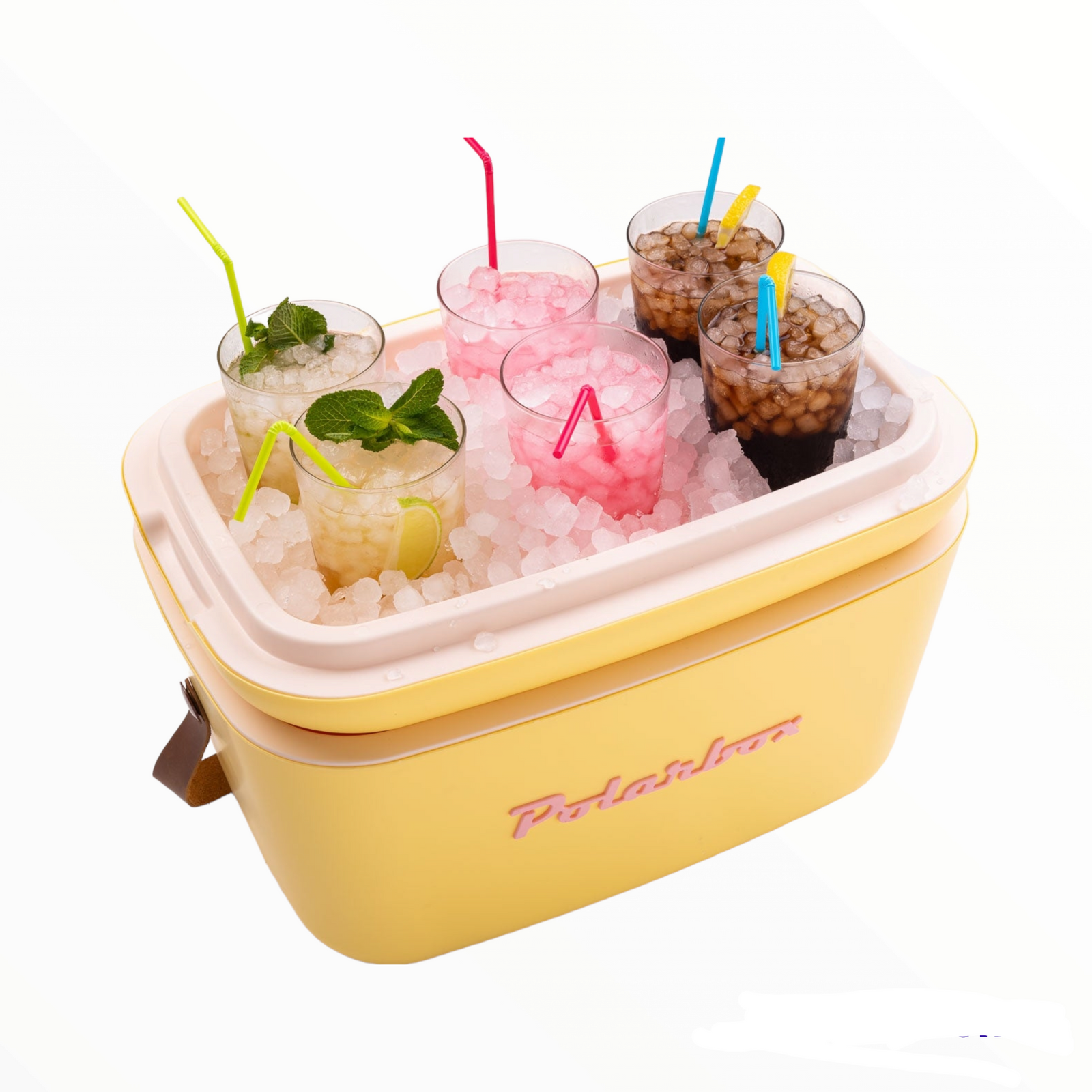 Polarbox 20L Retro Cooler Storage Container
