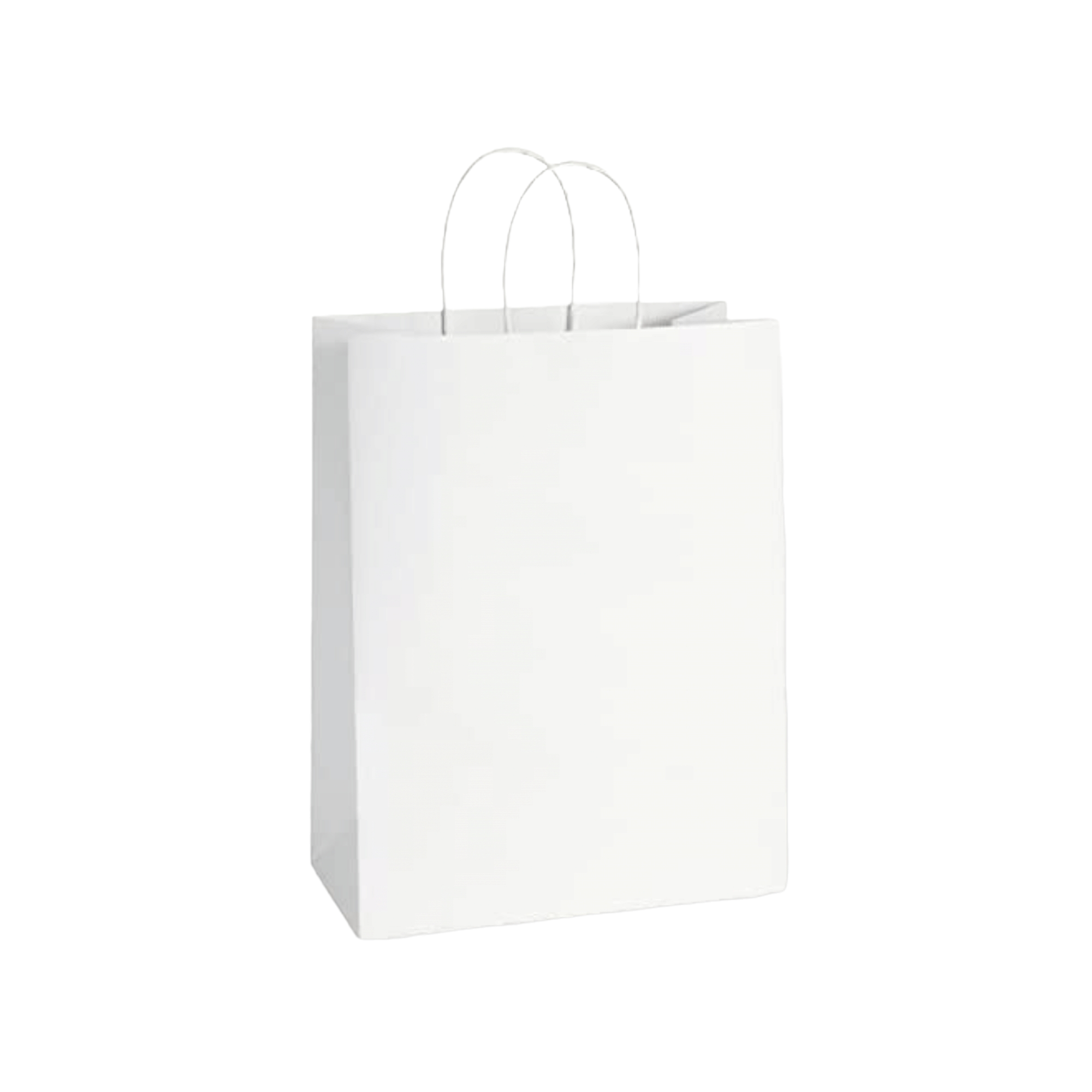 Kraft Paper Gift Bag 130g 27x22x11cm with Paper Twist Handle