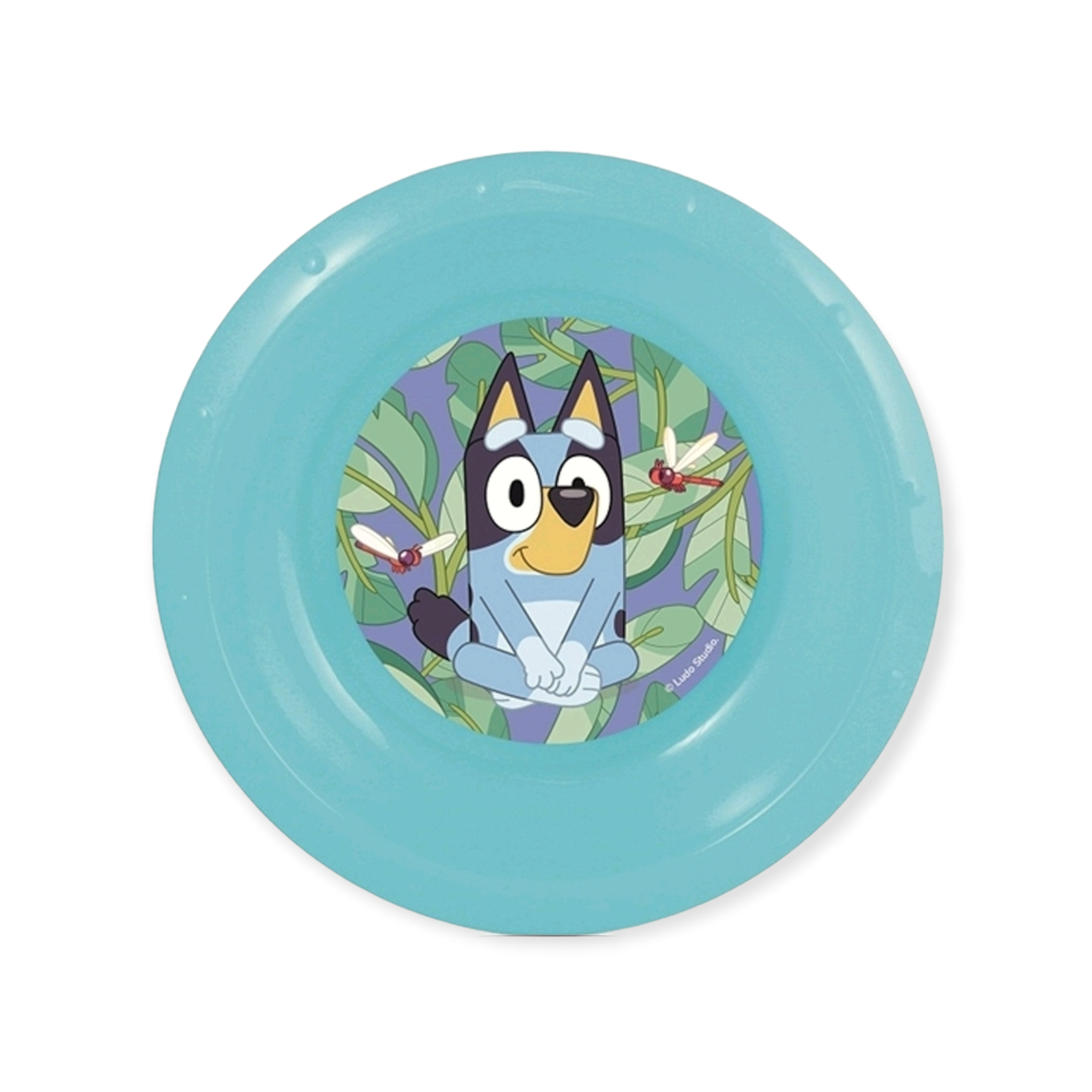 Disney Bluey Bowl 20895