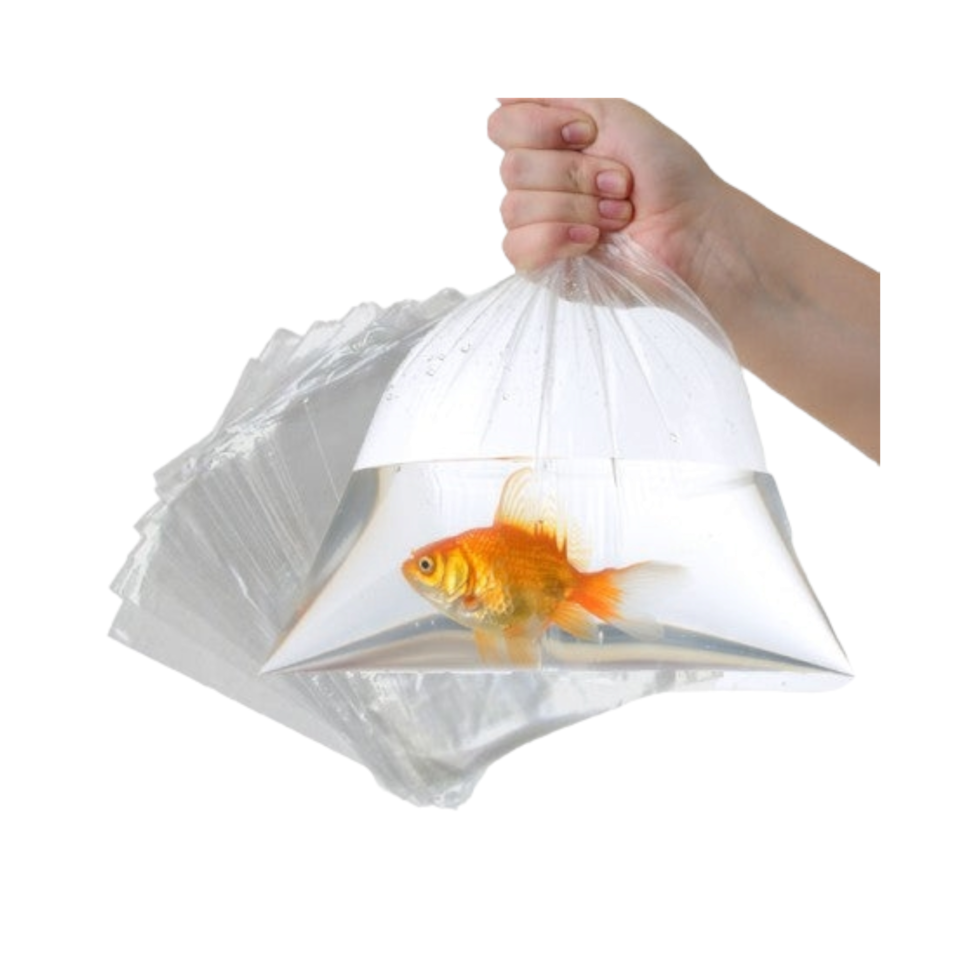 Plastic Packing Bag 450x700mm 50mic Clear 100pack