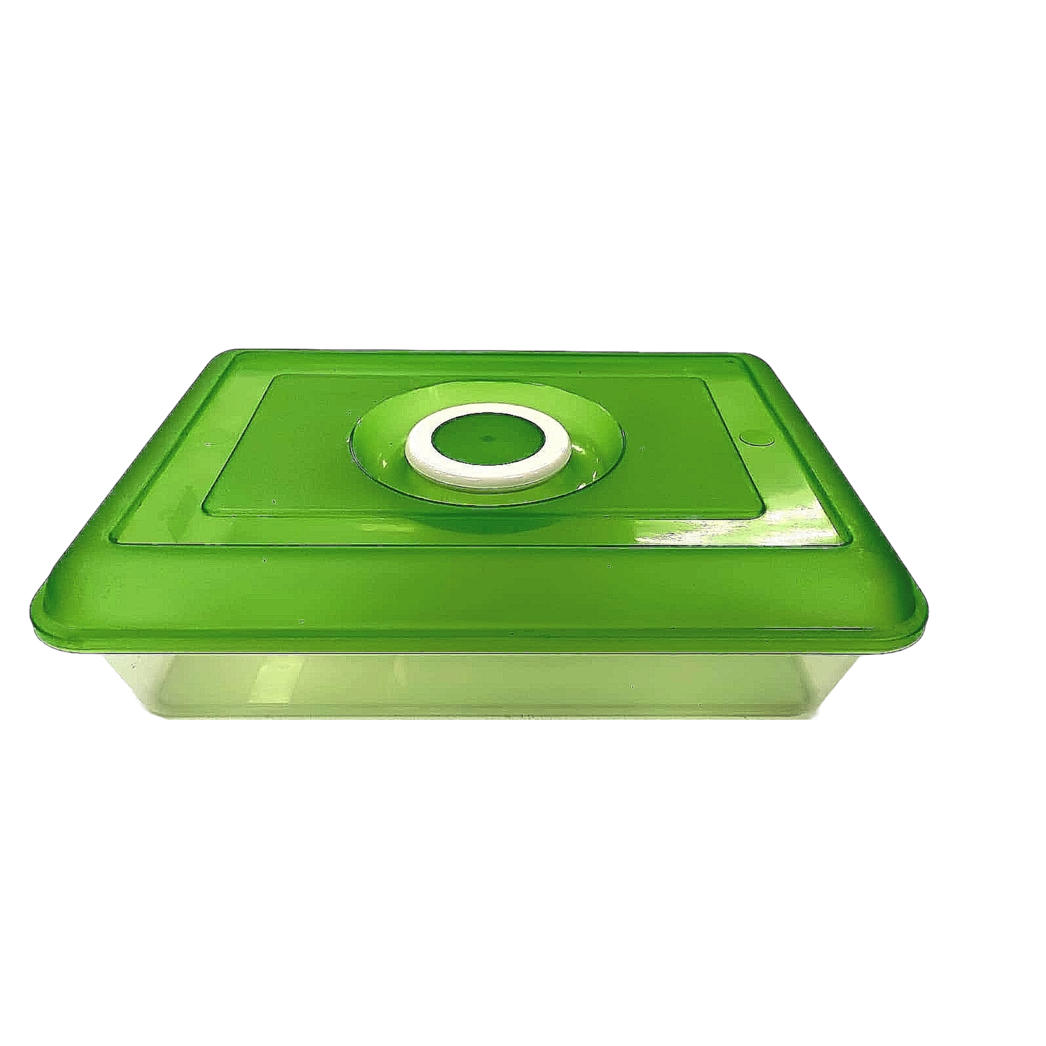 Formosa Rectangular Food Saver 4.5L 8377