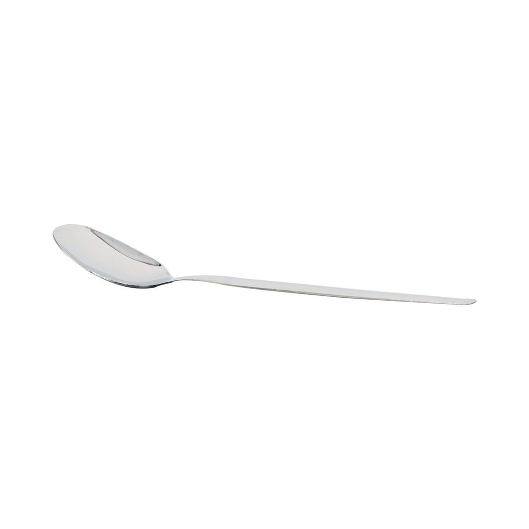 Eloff Salad Spoon Shine SGN931