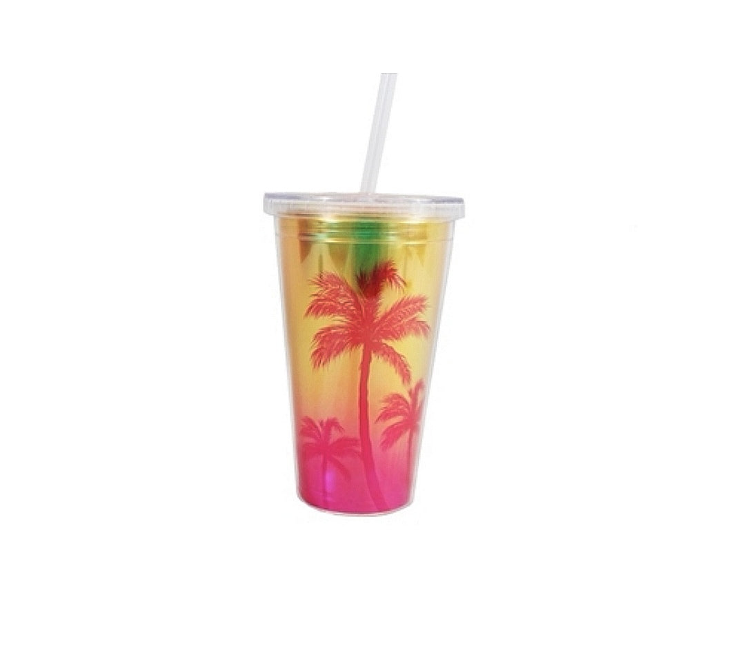 Acrylic Smoothie Tumbler with Straw 450ml Double Wall 23017
