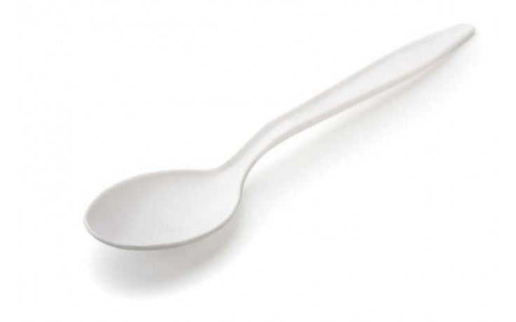 Disposable Teaspoons White 100s