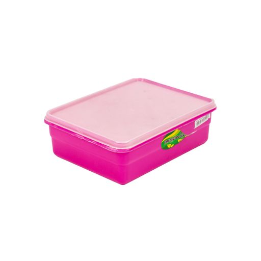 Plastic Lunch Box Medium Formosa 6222