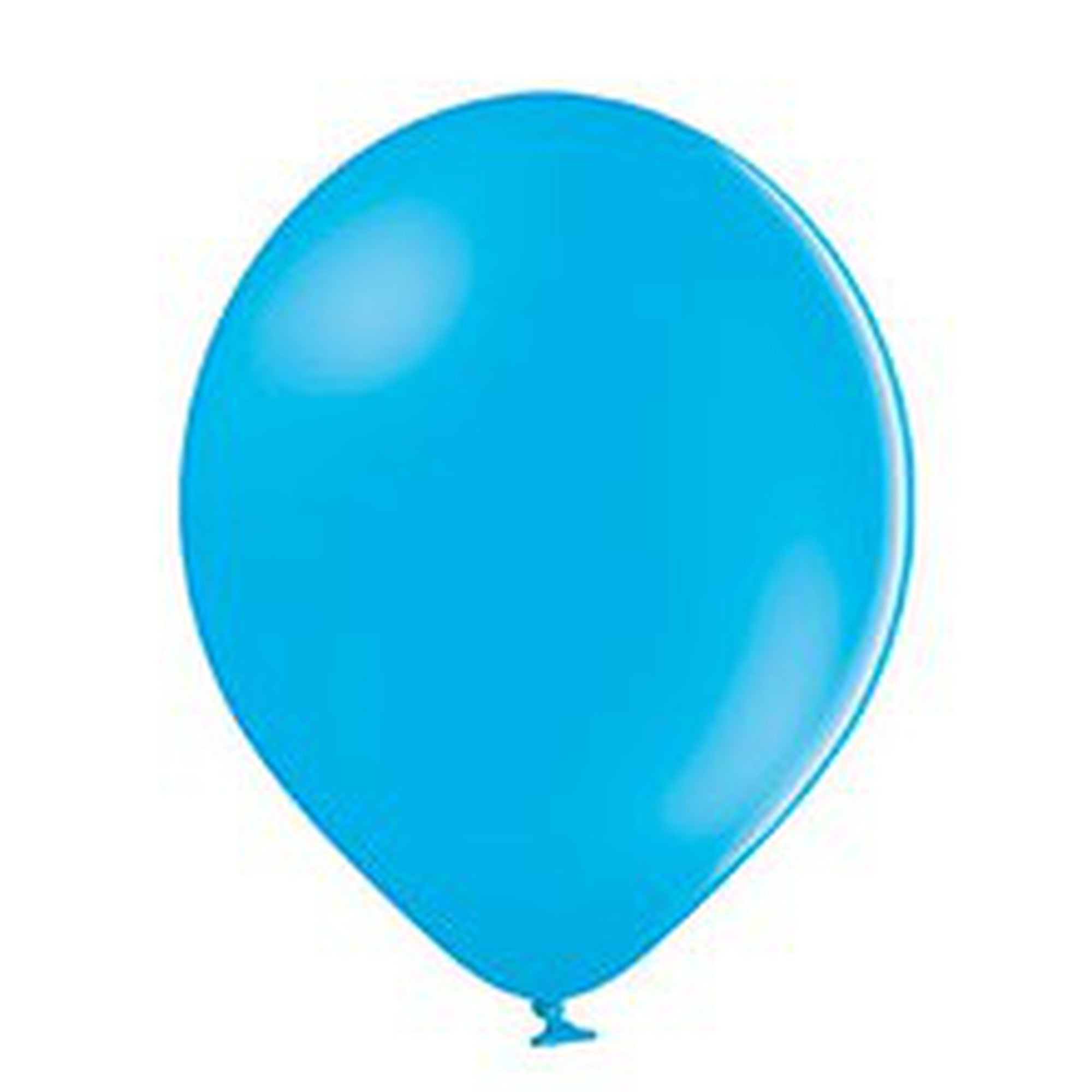 Latex Pastel Party Balloons B105 10pack