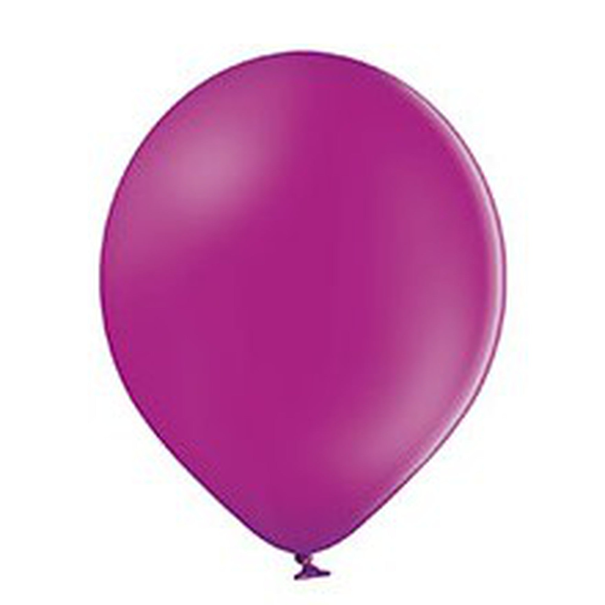 Latex Pastel Party Balloons B105 10pack