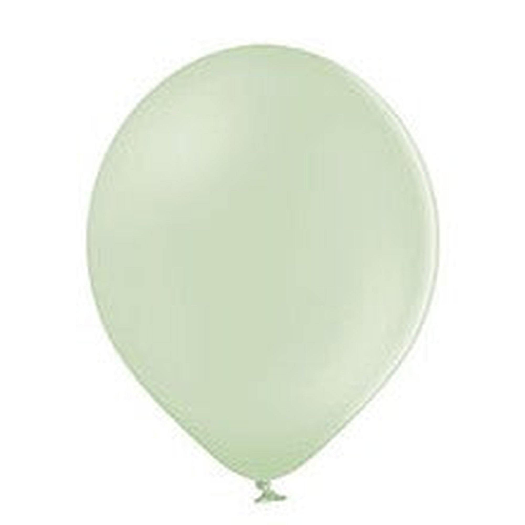 Latex Pastel Party Balloons B105 10pack