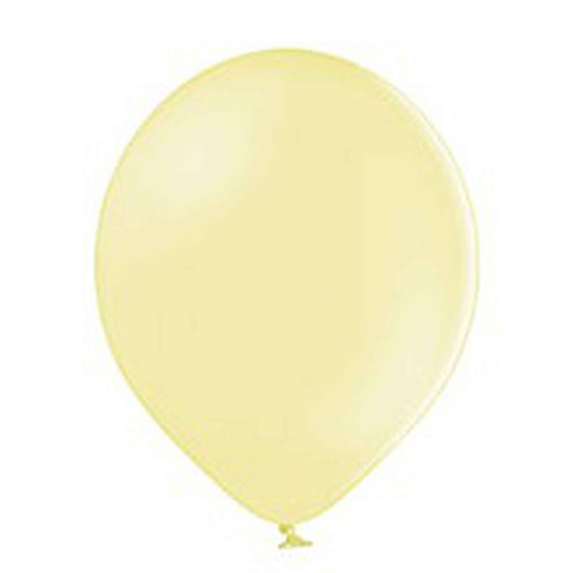 Latex Pastel Party Balloons B105 10pack