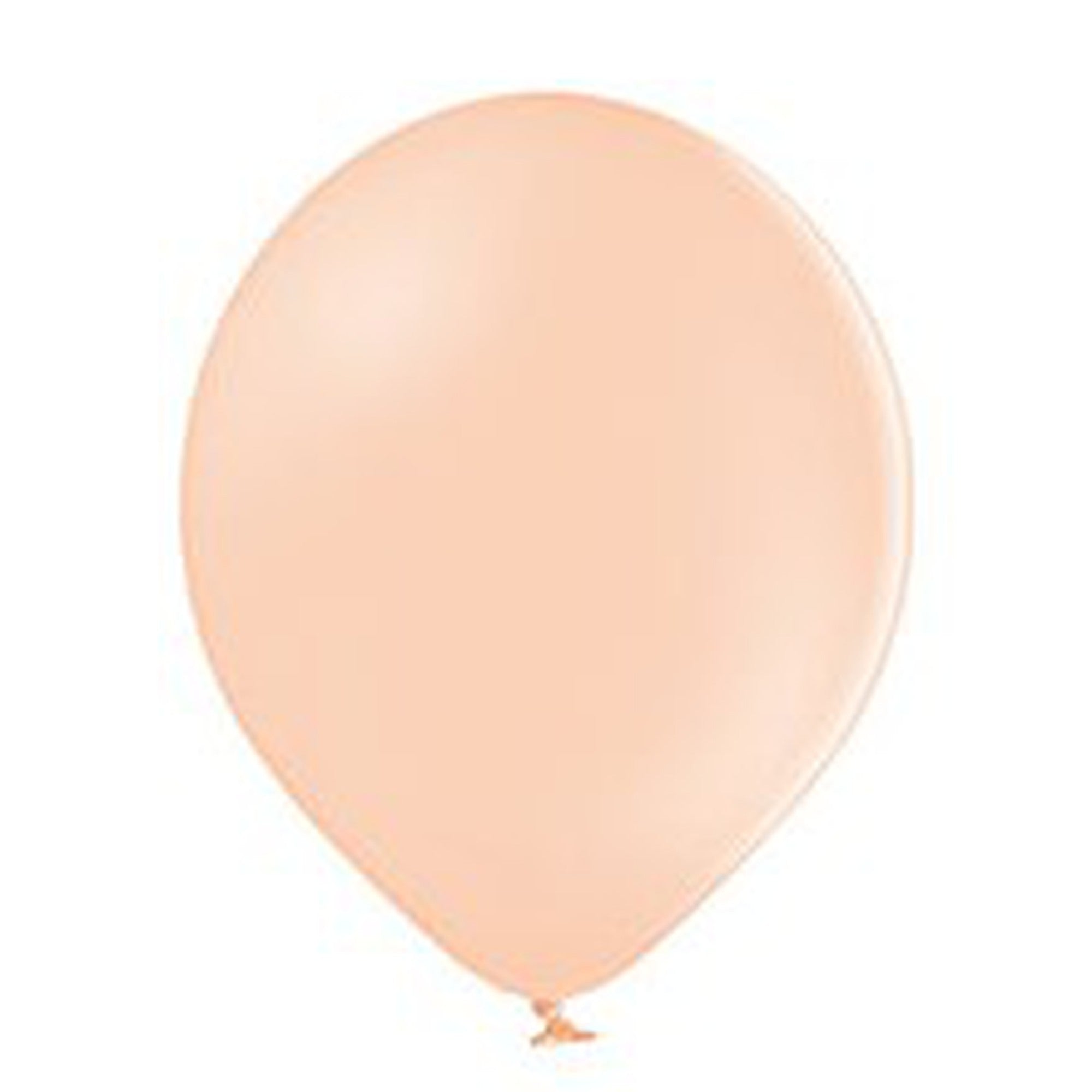 Latex Pastel Party Balloons B105 10pack