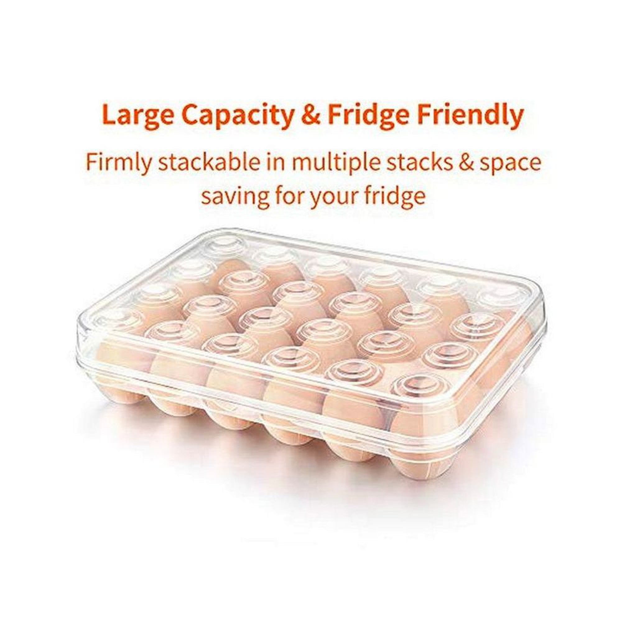 Plastic Egg Storage Tray Holder 24-Grid Clamshell Box Formosa